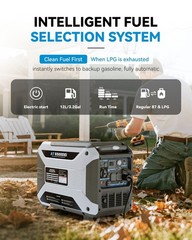 Quiet 60Hz 6500 Watt Inverter Generator 4-Stroke Engine Gas LPG 11L Remote Start