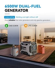 Quiet 60Hz 6500 Watt Inverter Generator 4-Stroke Engine Gas LPG 11L Remote Start