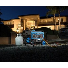 Pulsar 5,250-Watt Portable RV Ready Dual Fuel Gas Powered Generator Home Backup