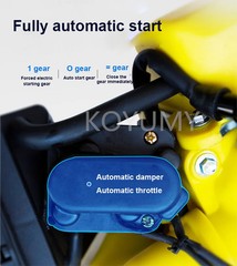 Smart Electric Vehicle Range Extender for 48V/60V/72V Four-Wheel Cars