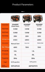 220V Single-Phase Electric Start Generator for Construction Emergencies