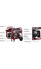 All Power America 10000 Watt Dual Fuel Generator with Electric Start,APGG10000GL