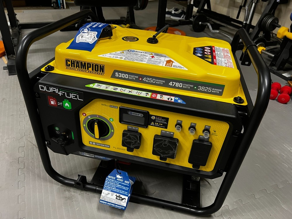 Champion Dual Fuel Portable Generator 5300W/4250W CO Shield Model 201279