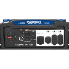Powerhorse Portable Tri-Fuel Generator with Electric Start, 12,500 Watts