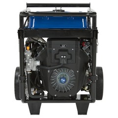 Powerhorse Dual Fuel Generator, 15,000 Surge Watts, 12,000 Rated Watts, CO